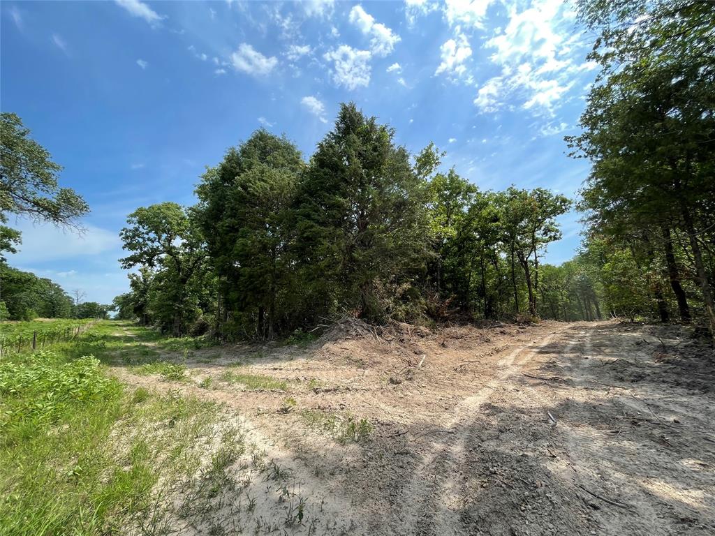 TBD Tract 11 Private Road 207  , Fairfield, Texas image 7