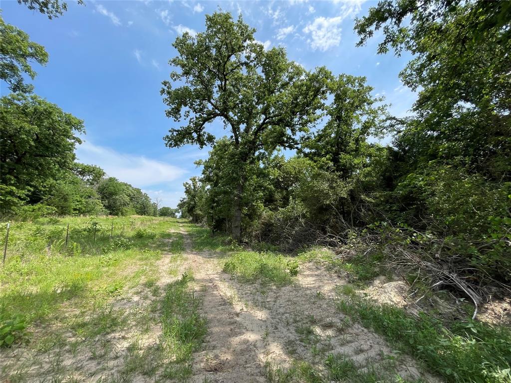 TBD Tract 11 Private Road 207  , Fairfield, Texas image 8