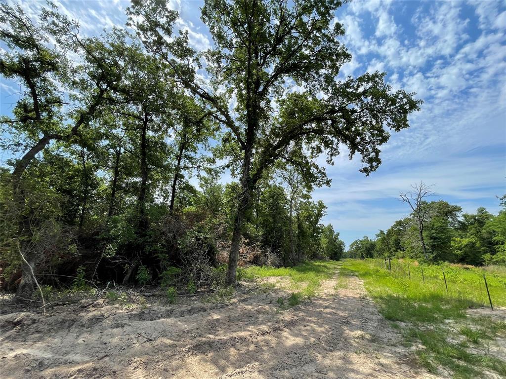 TBD Tract 11 Private Road 207  , Fairfield, Texas image 9