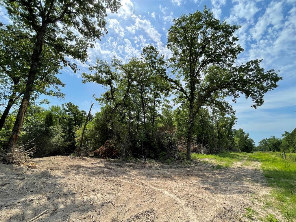 TBD Tract 11 Private Road 207  , Fairfield, Texas image 10