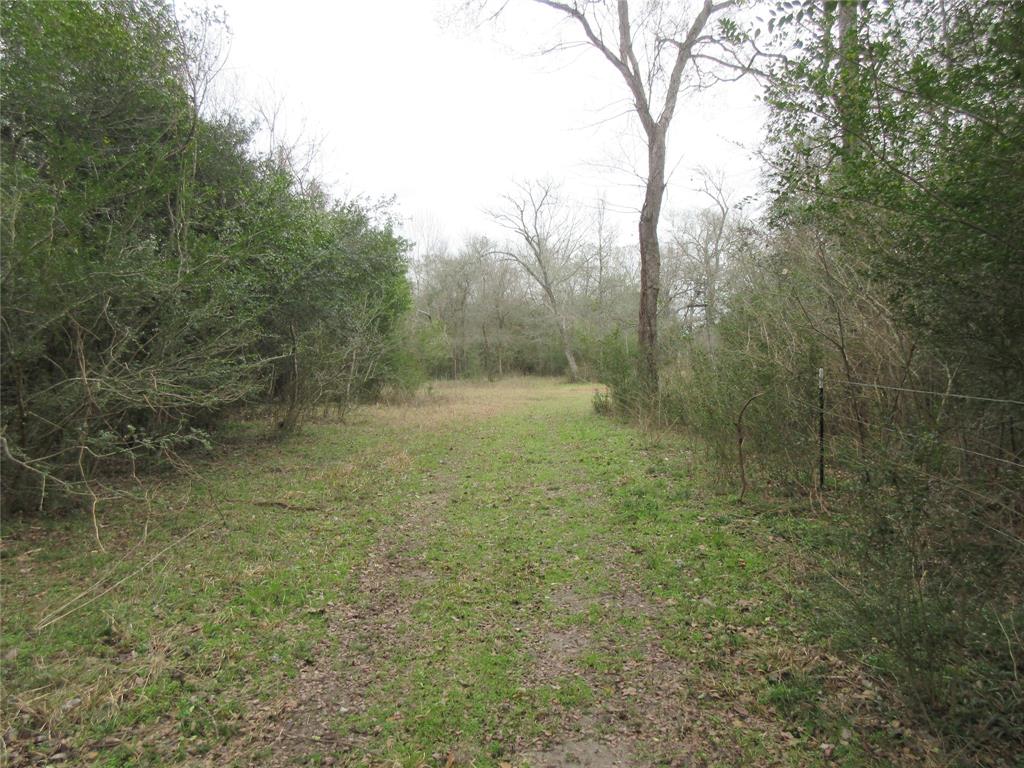 37462 Vaclavik Road , Pattison, Texas image 8