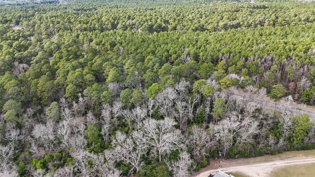 TBD Hwy 150  , Coldspring, Texas image 17