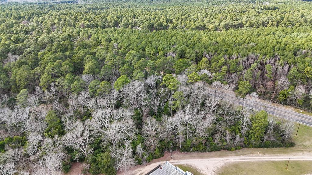 TBD Hwy 150  , Coldspring, Texas image 18