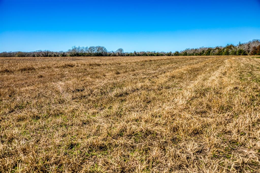 0003 Hwy 159 West  , Bellville, Texas image 12