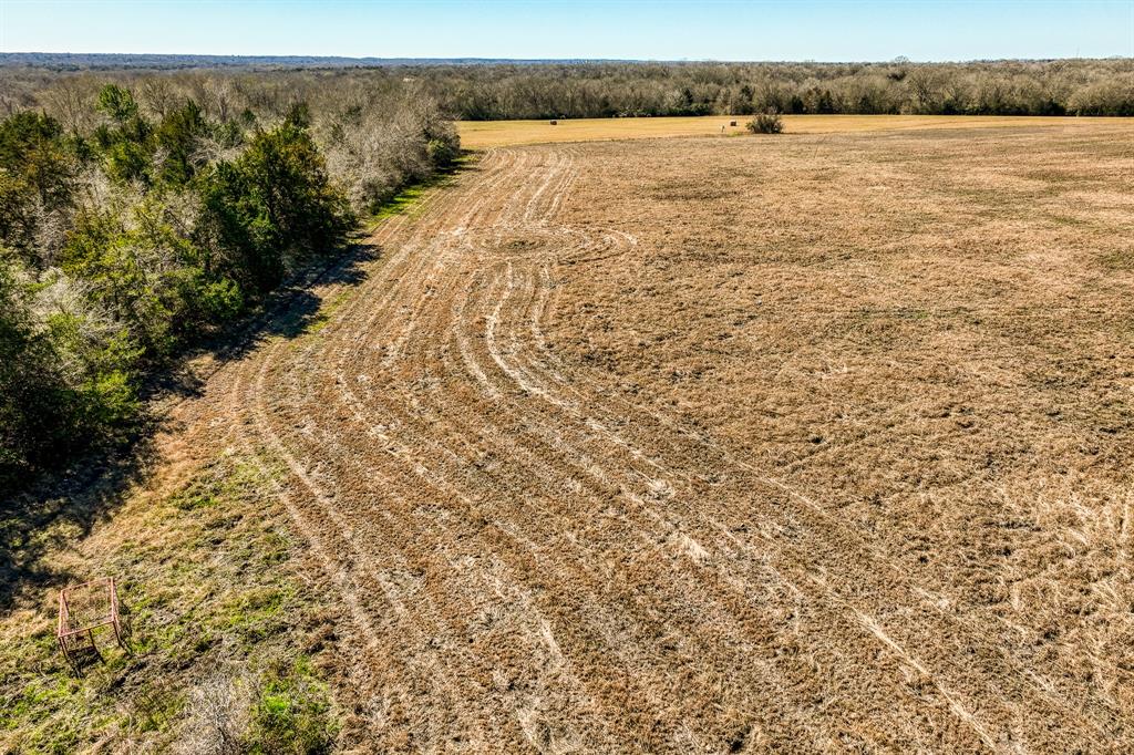 0003 Hwy 159 West  , Bellville, Texas image 9