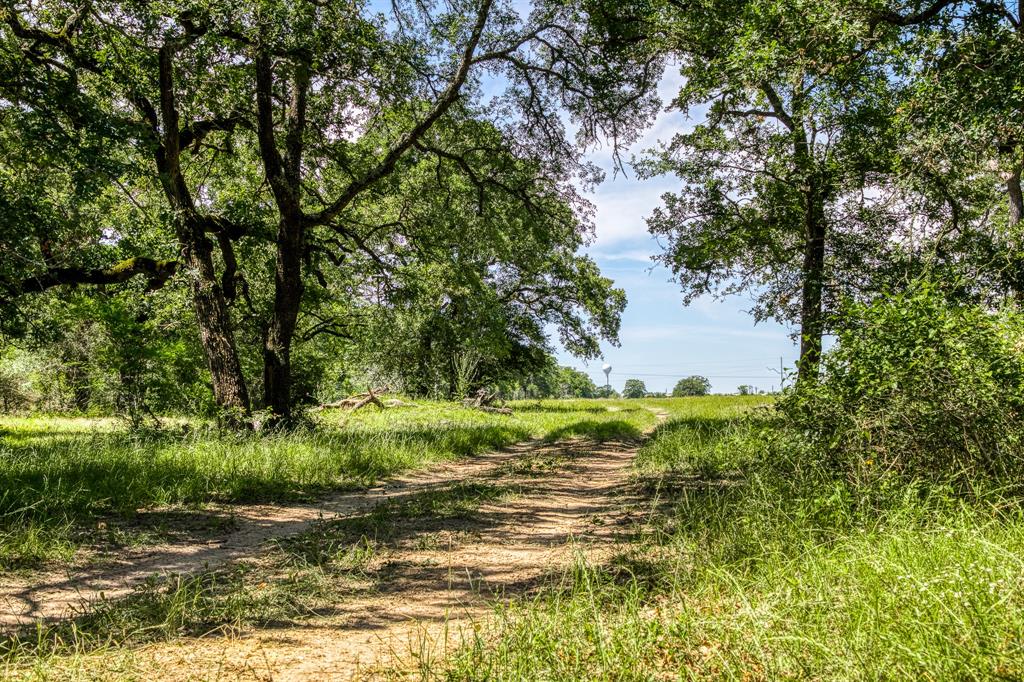 +/- 43 Acres of gently-rolling pastureland with a densely-wooded section, wet-weather creek, stock pond and scattered, mature oak trees! Located just minutes from Lake Somerville, Brenham, Snook & College Station. Paved road frontage with Bluebonnet Electric power-lines along CR 423, no floodplain, partially fenced with game-proof high fencing along CR 423, and 5-stand barbed wire, low fence along the east and south boundaries. Water well and septic would be needed. Agriculture valuation in place via cattle grazing for low taxes! Lightly restricted to protect your investment, allowing for residential, recreational and agricultural related activities.