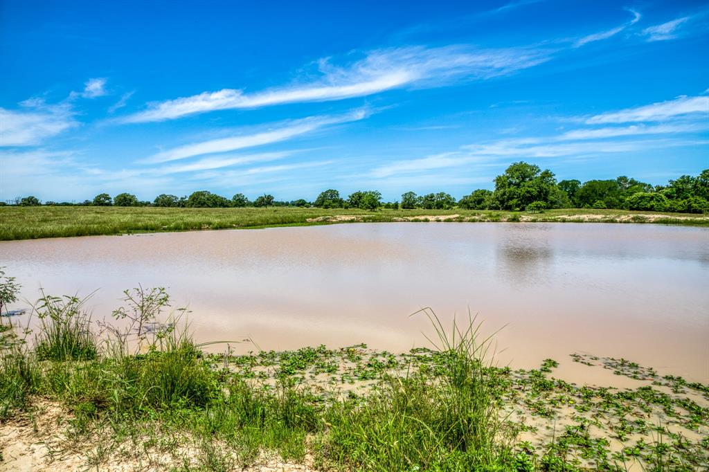 TBD (+/- 43 Acres) County Road 423  , Somerville, Texas image 11