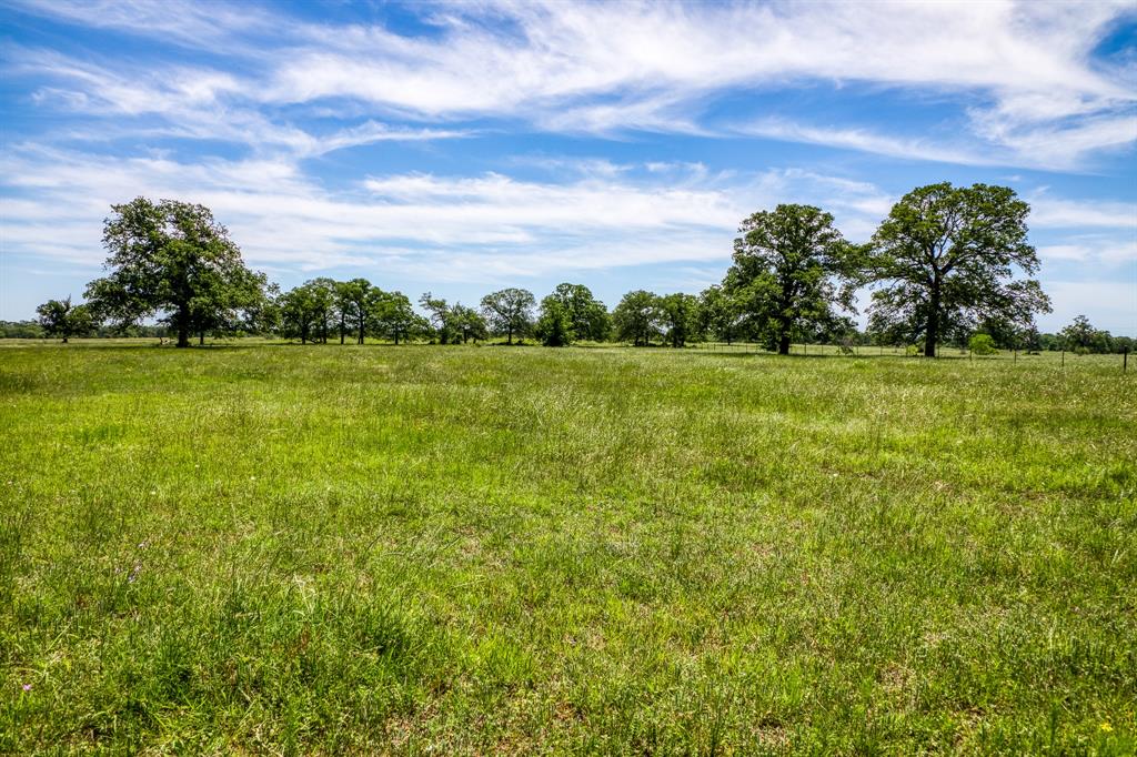 TBD (+/- 43 Acres) County Road 423  , Somerville, Texas image 13