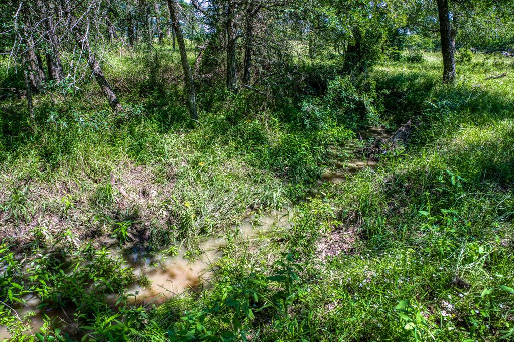 TBD (+/- 43 Acres) County Road 423  , Somerville, Texas image 16