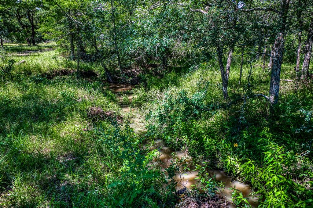 TBD (+/- 43 Acres) County Road 423  , Somerville, Texas image 17