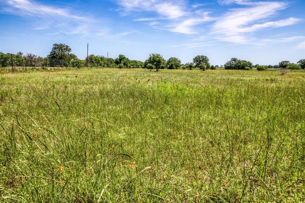 TBD (+/- 43 Acres) County Road 423  , Somerville, Texas image 18