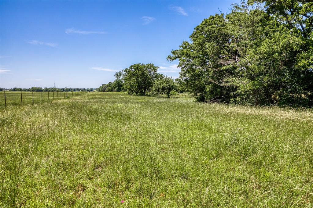 TBD (+/- 43 Acres) County Road 423  , Somerville, Texas image 19