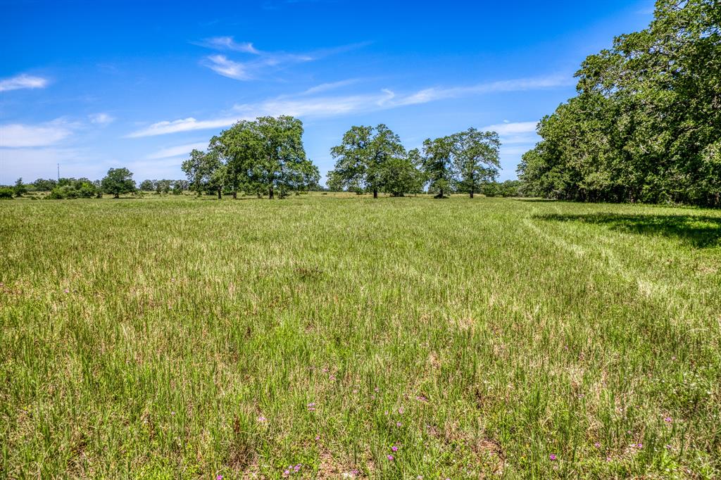 TBD (+/- 43 Acres) County Road 423  , Somerville, Texas image 20