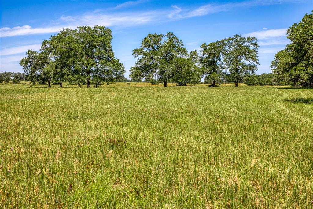 TBD (+/- 43 Acres) County Road 423  , Somerville, Texas image 21