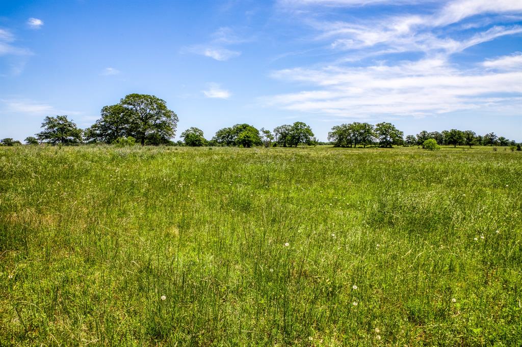 TBD (+/- 43 Acres) County Road 423  , Somerville, Texas image 25