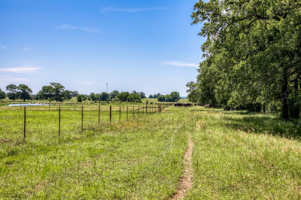 TBD (+/- 43 Acres) County Road 423  , Somerville, Texas image 4