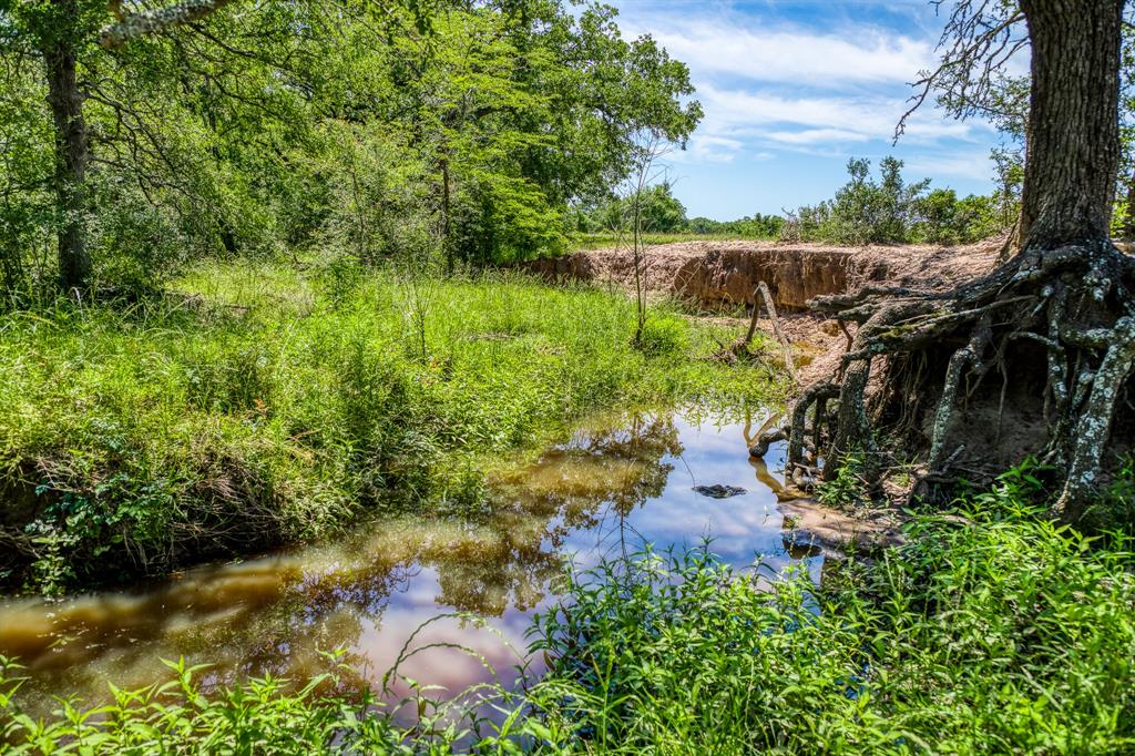 TBD (+/- 43 Acres) County Road 423  , Somerville, Texas image 5