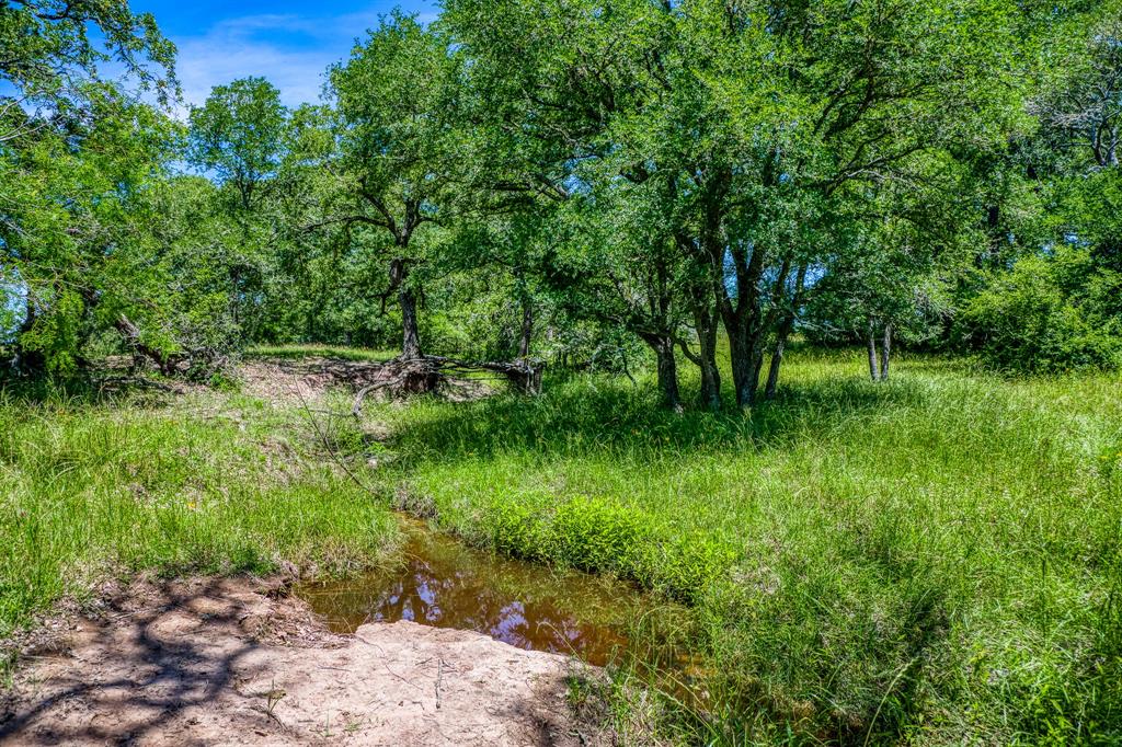 TBD (+/- 43 Acres) County Road 423  , Somerville, Texas image 6