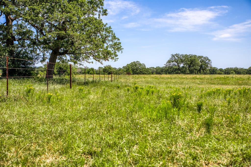 TBD (+/- 43 Acres) County Road 423  , Somerville, Texas image 7