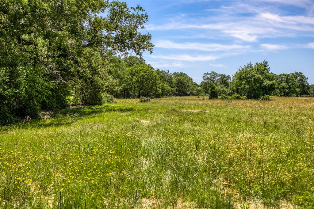 TBD (+/- 43 Acres) County Road 423  , Somerville, Texas image 8