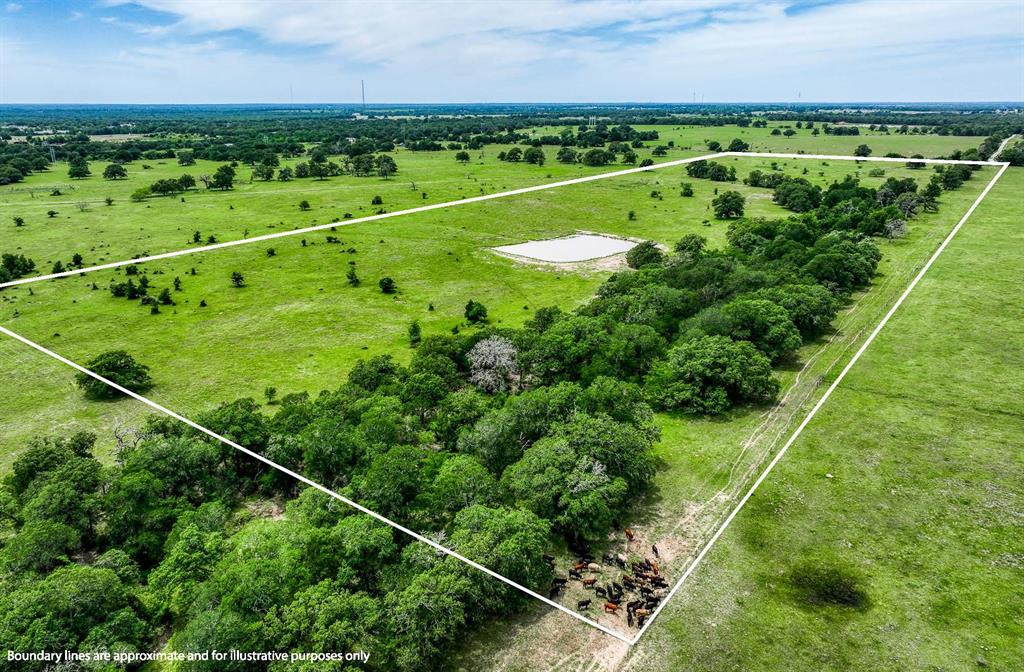 TBD (+/- 43 Acres) County Road 423  , Somerville, Texas image 9