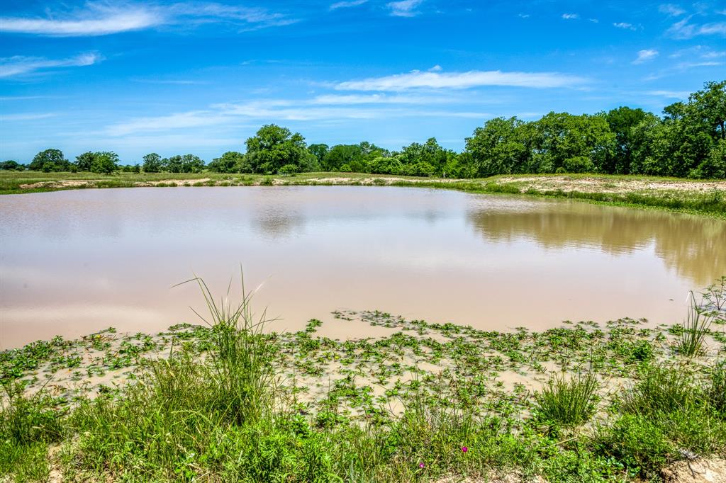 TBD (+/- 43 Acres) County Road 423  , Somerville, Texas image 10