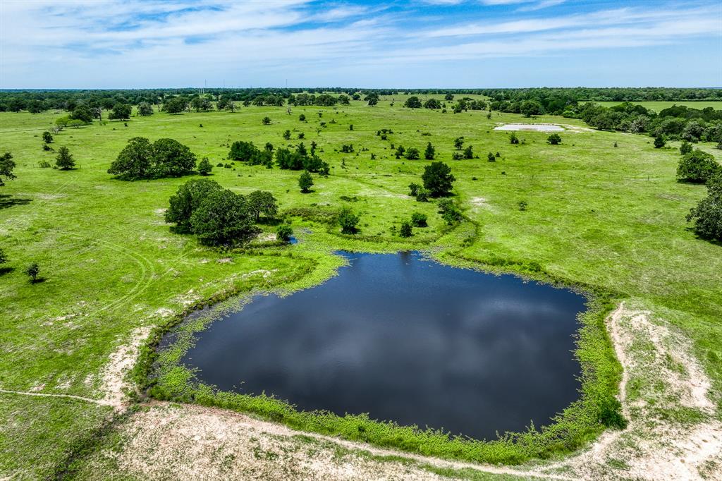 +/- 80 Acres of beautiful countryside centralized between Houston & Austin and located only 3 miles from Lake Somerville. Gently rolling pastureland, scattered, mature oaks trees, stock pond, creek & an all-weather interior road through the property! Approx. 540' of paved CR 423 frontage! No FEMA floodplain. Located outside the city limits. Build your dream home, run livestock, invest for the future, use for weekend getaways or a recreational retreat! So many possibilities with a location such as this one. Bluebonnet electric lines run along CR 423. Water well and septic will be needed. Partially game-proof, high-fenced on the north and south end and cross-fencing in place to assist with livestock rotational grazing! Lightly restricted to protect your investment, allowing for residential, recreational and agricultural related activities. Located just 18 miles to Brenham, 25 miles to College Station, 65 miles to Cypress, 90 miles to downtown Houston and 90 miles to Austin.