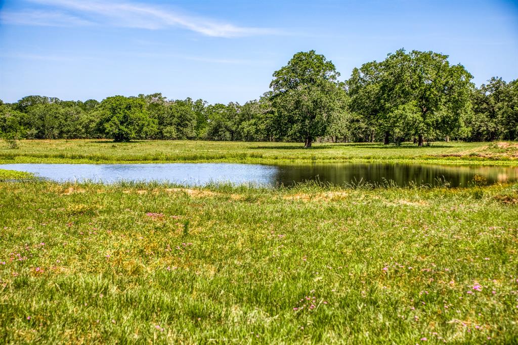 TBD(+/- 80 Acres) County Road 423  , Somerville, Texas image 11