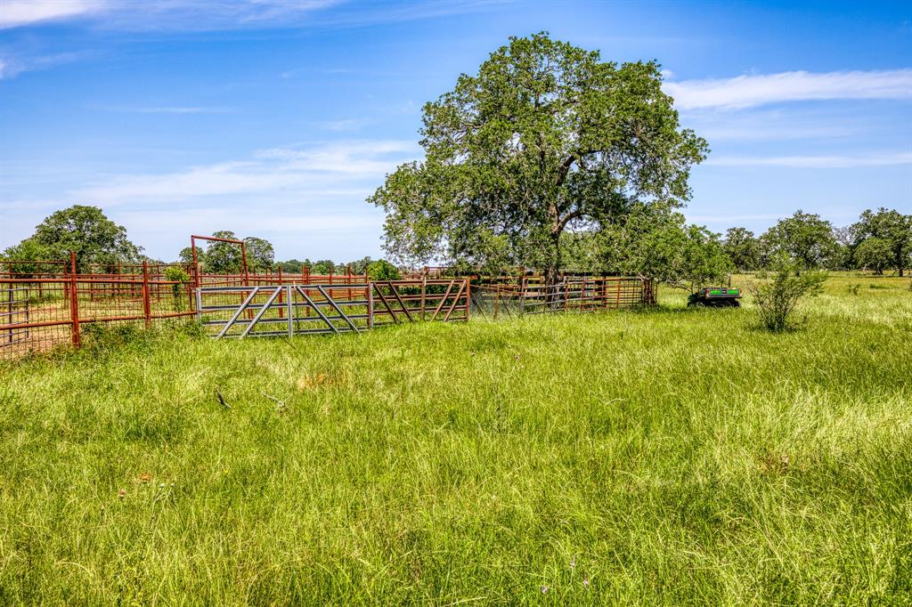 TBD(+/- 80 Acres) County Road 423  , Somerville, Texas image 12