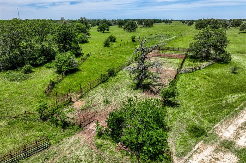 TBD(+/- 80 Acres) County Road 423  , Somerville, Texas image 13