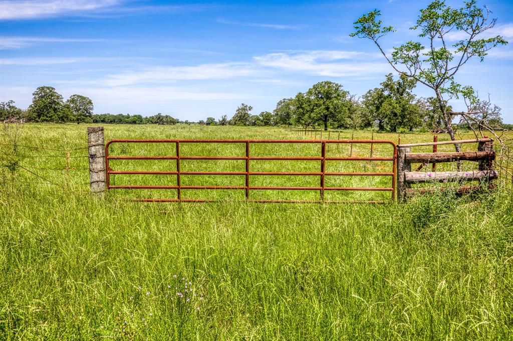 TBD(+/- 80 Acres) County Road 423  , Somerville, Texas image 14