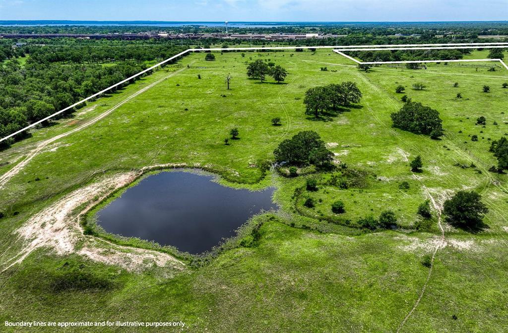 TBD(+/- 80 Acres) County Road 423  , Somerville, Texas image 16