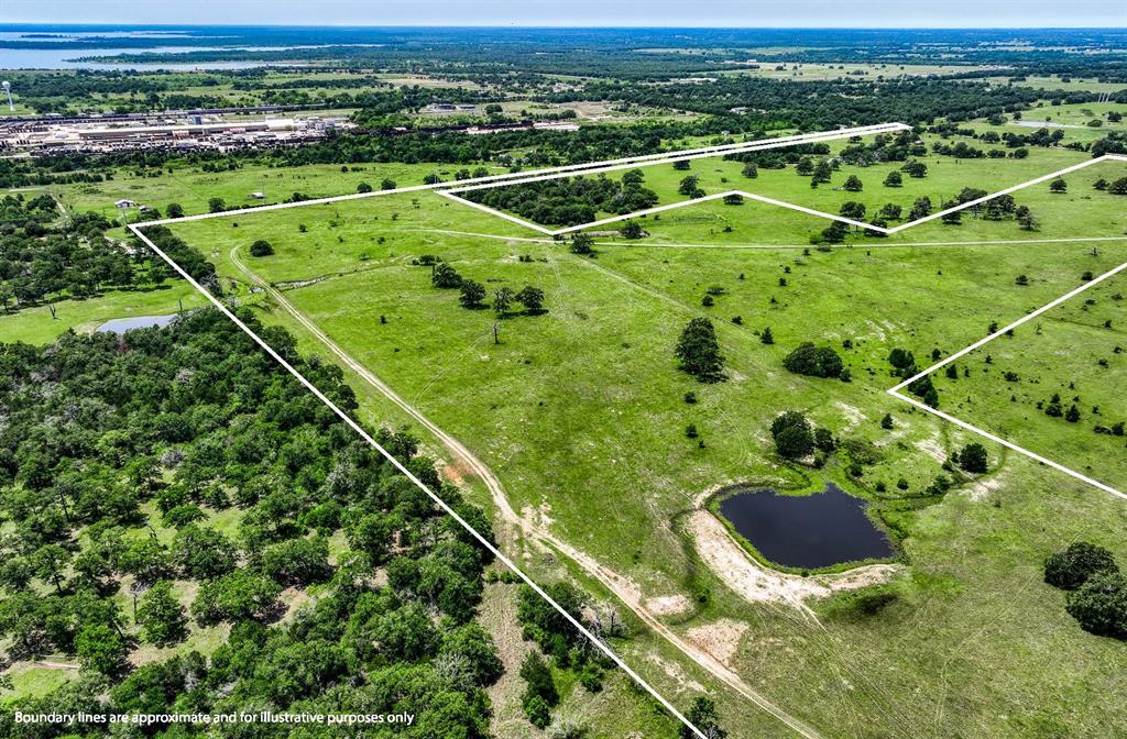 TBD(+/- 80 Acres) County Road 423  , Somerville, Texas image 19