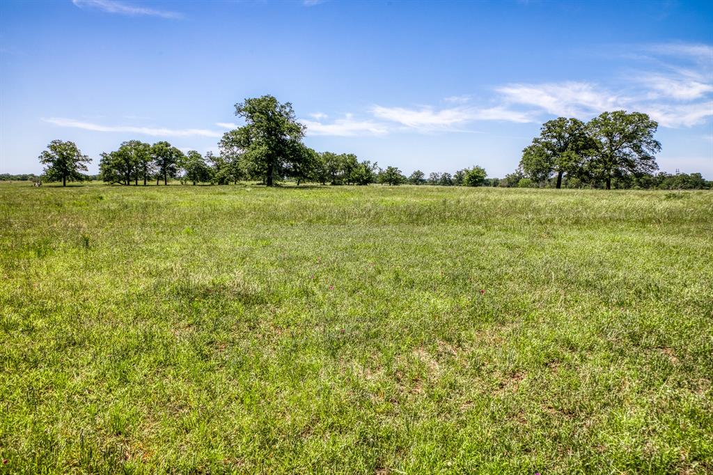 TBD(+/- 80 Acres) County Road 423  , Somerville, Texas image 22