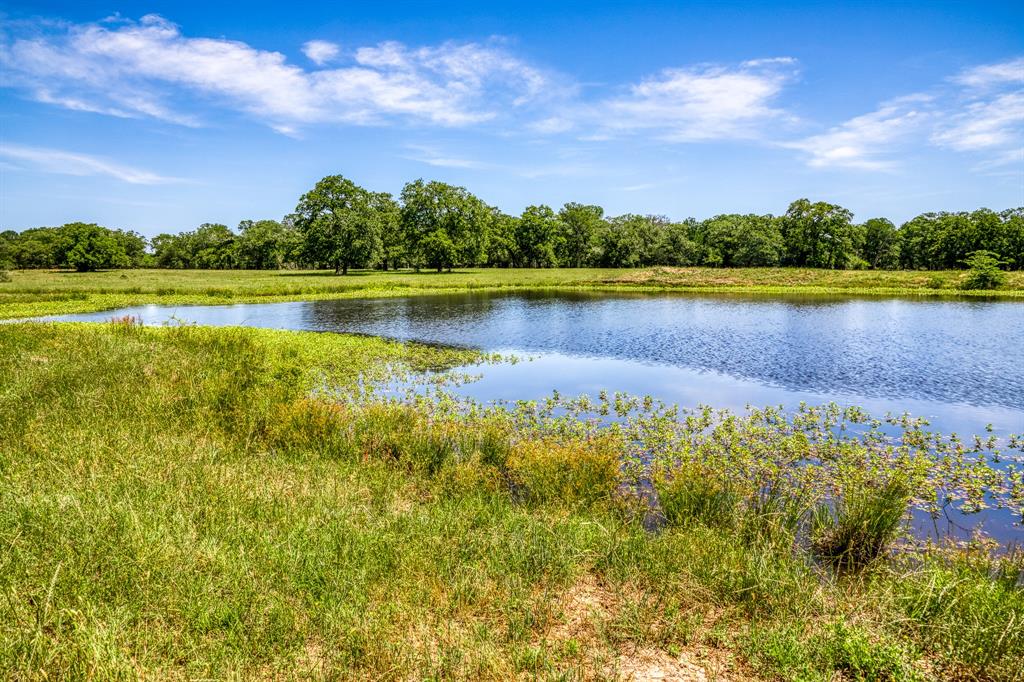 TBD(+/- 80 Acres) County Road 423  , Somerville, Texas image 23