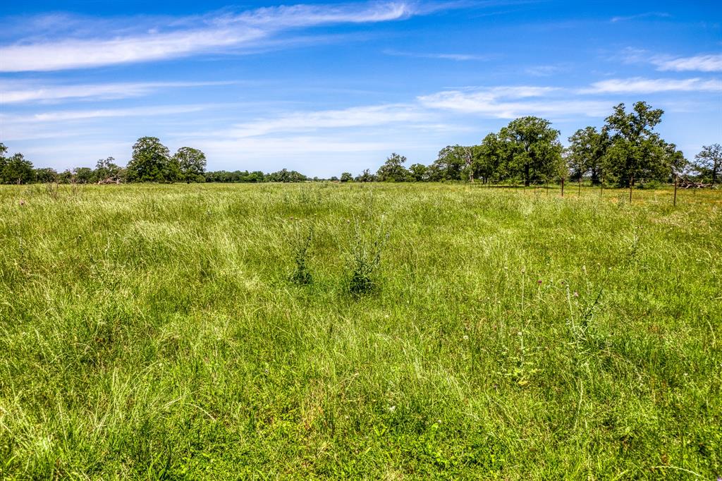 TBD(+/- 80 Acres) County Road 423  , Somerville, Texas image 24