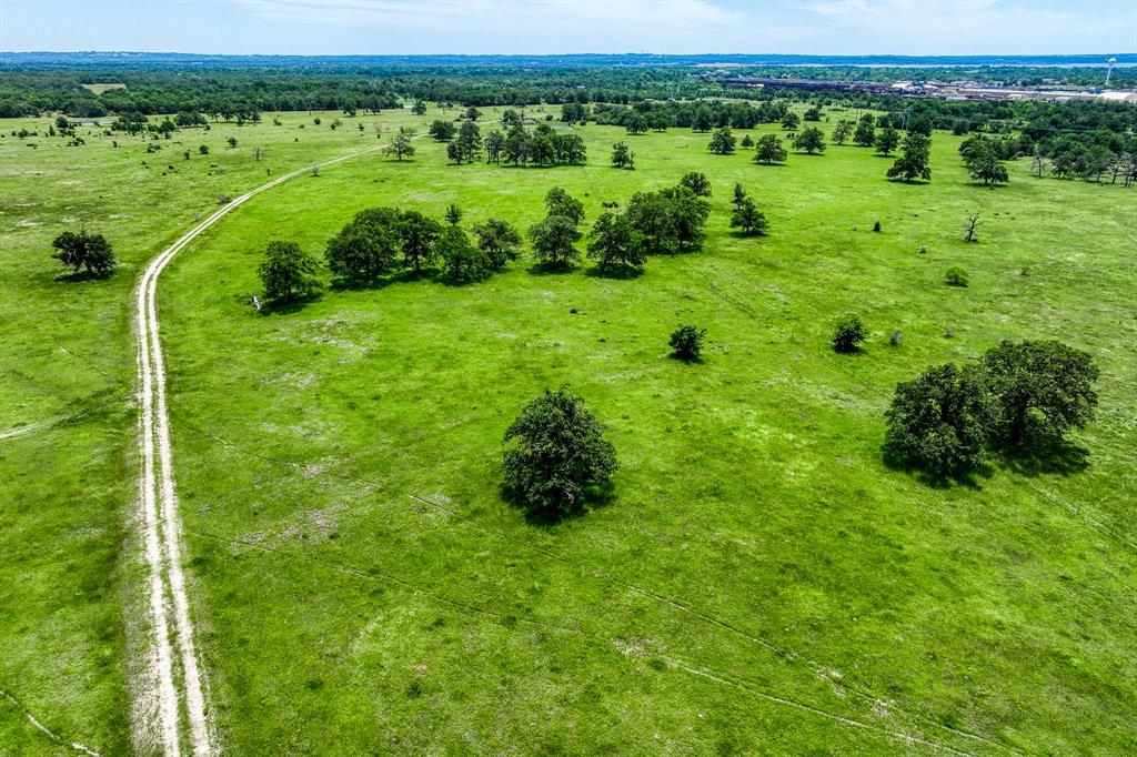 TBD(+/- 80 Acres) County Road 423  , Somerville, Texas image 25