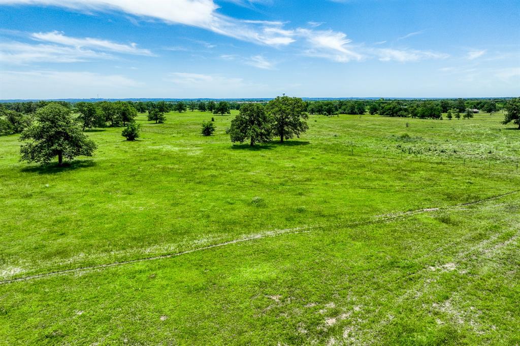 TBD(+/- 80 Acres) County Road 423  , Somerville, Texas image 5