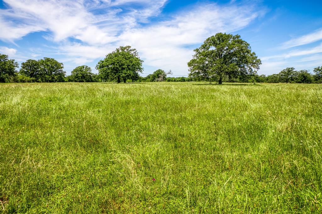 TBD(+/- 80 Acres) County Road 423  , Somerville, Texas image 8