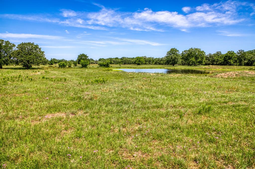 TBD(+/- 80 Acres) County Road 423  , Somerville, Texas image 10