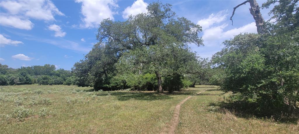 714 County Road 211a  , Hallettsville, Texas image 4