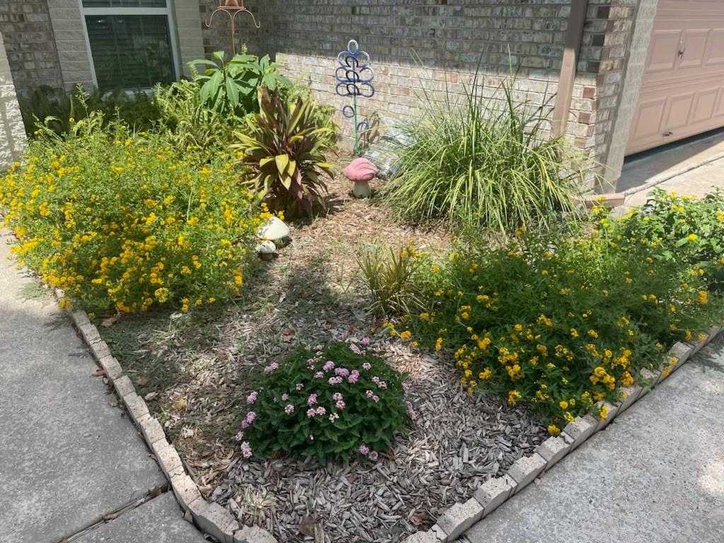 Large flower bed in front