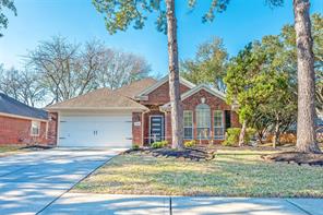 20322 Willow Trace, Cypress, TX, 77433