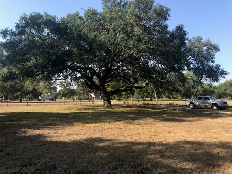 Welcome to picturesque country living at 1802 Garrett Ct. The land has recently been cleared and is ready to make your own. Water well and electric poles on property. Mature trees, fully fenced with work shed, RV parking and feeding stalls.