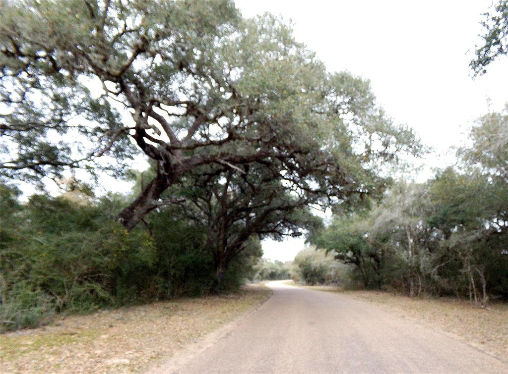 1032 Willenborg Way , Garwood, Texas image 46