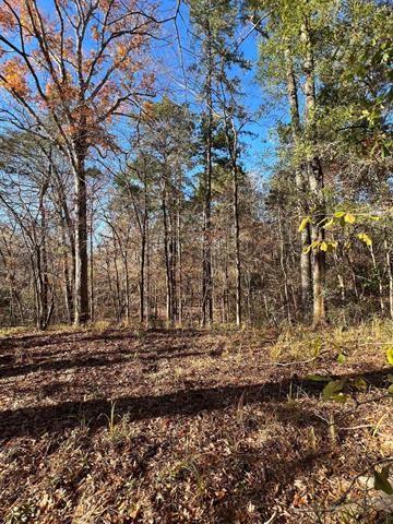 TBD County Rd 1113  , Hemphill, Texas image 12