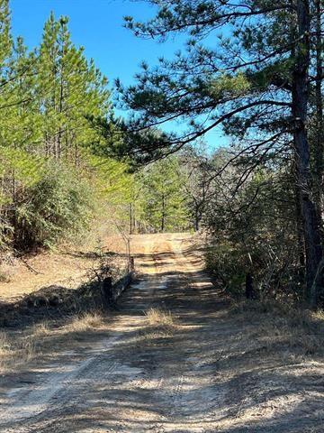 TBD County Rd 1113  , Hemphill, Texas image 14