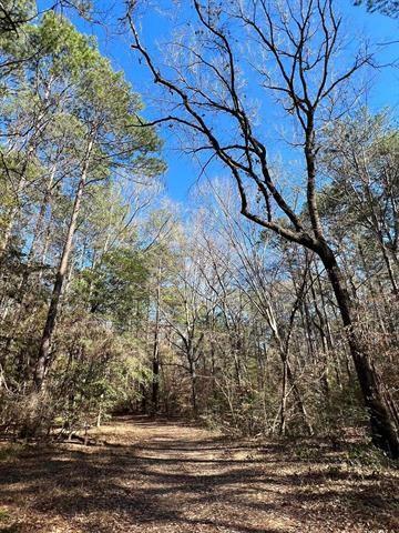 TBD County Rd 1113  , Hemphill, Texas image 17