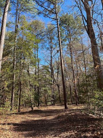 TBD County Rd 1113  , Hemphill, Texas image 18