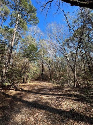 TBD County Rd 1113  , Hemphill, Texas image 19